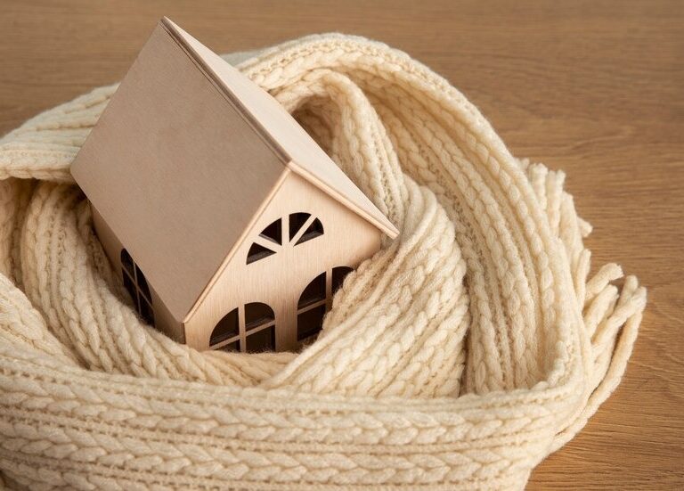 Maison passive : isolation soufflée et efficacité énergétique